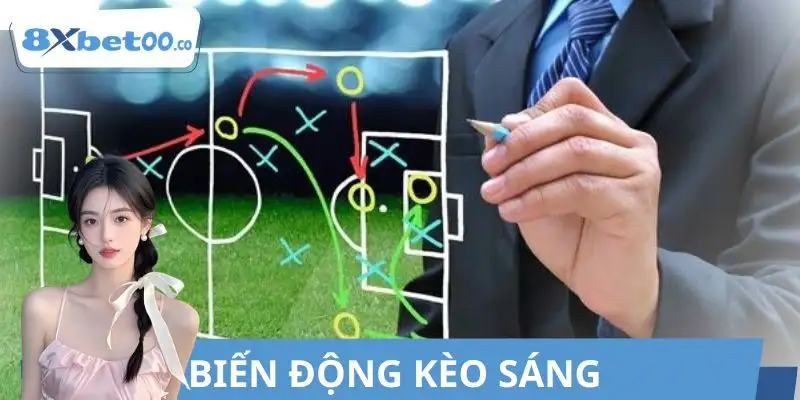 Biến động tỷ lệ phản ánh dòng tiền thị trường