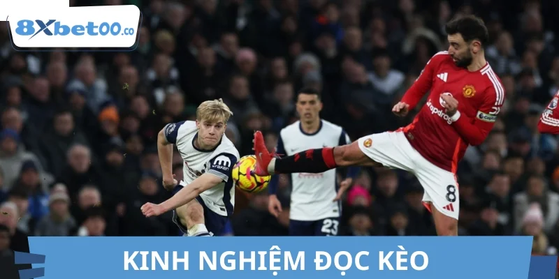 Nhận định từ chuyên gia trước bóng lăn